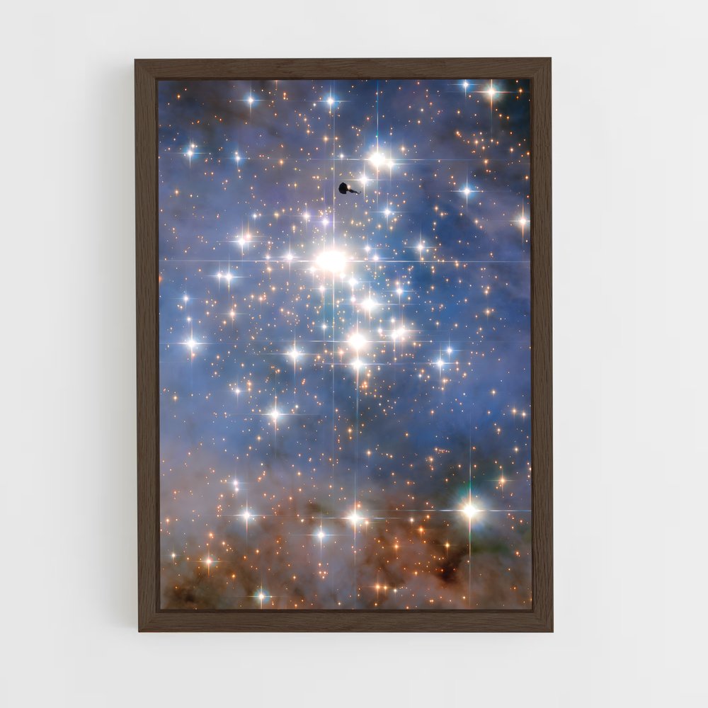 Poster Oiseau des Étoiles (vue 5)